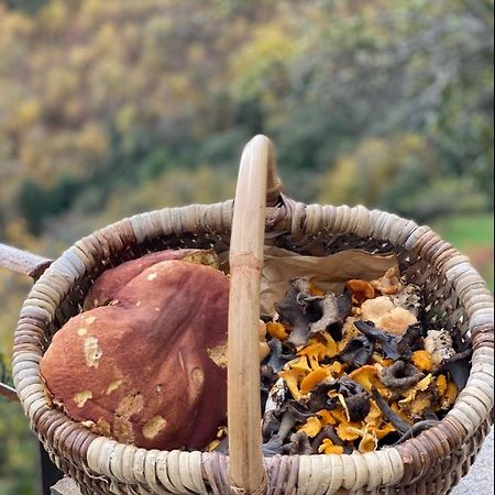 Domaine Le Verdier Saint-Michel-de-Dèze Esterno foto