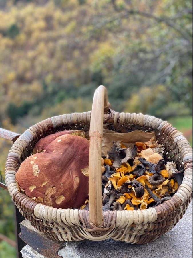 Domaine Le Verdier Saint-Michel-de-Dèze Esterno foto
